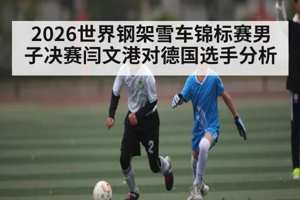 2026世界钢架雪车锦标赛男子决赛闫文港对德国选手分析